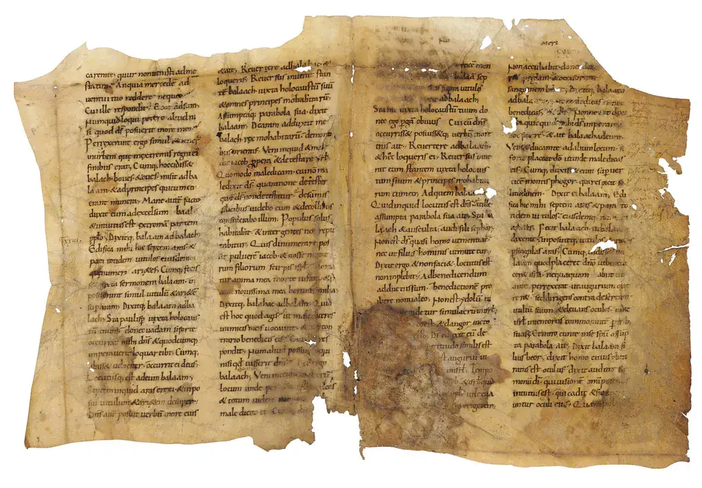 为什么很多英美顶尖私校都很重视古典语言学习